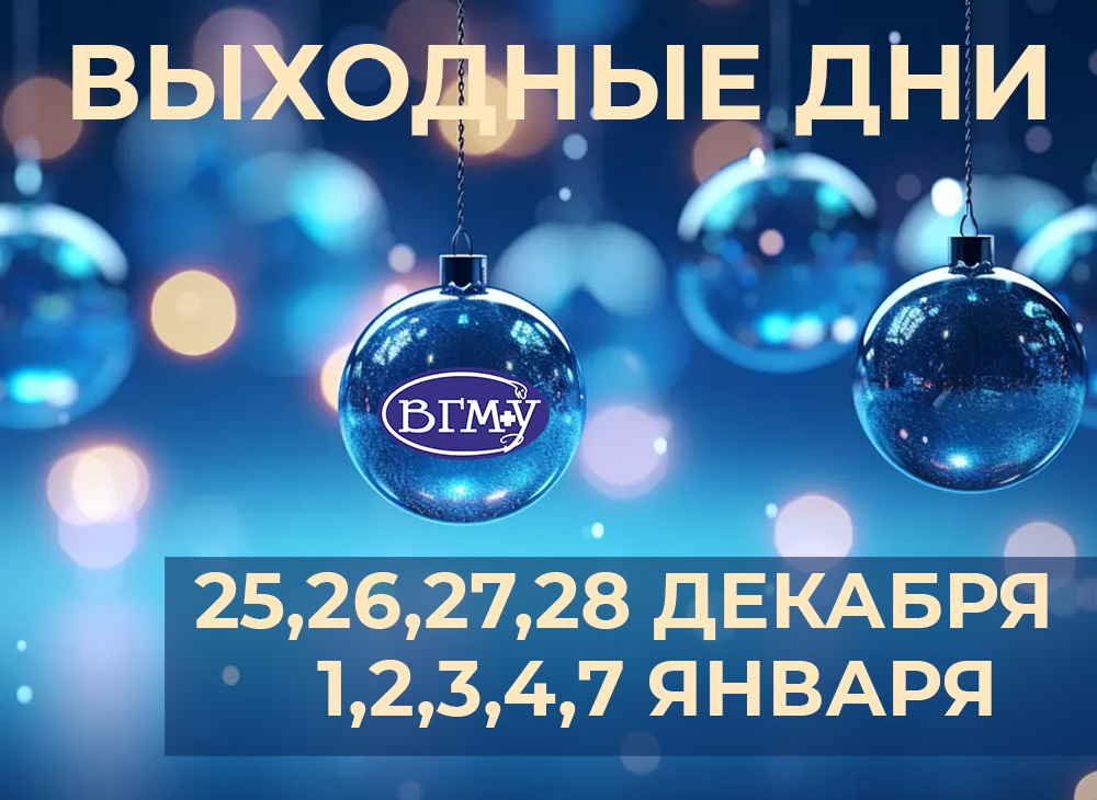 2025 26вых